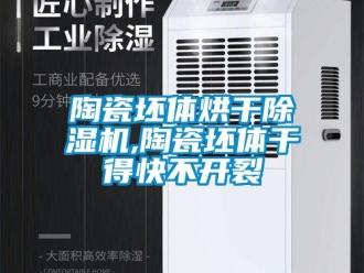 知識百科陶瓷坯體烘干除濕機,陶瓷坯體干得快不開裂