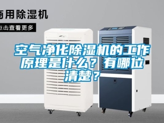 行業(yè)新聞空氣凈化除濕機的工作原理是什么？有哪位清楚？