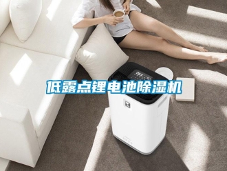 企業(yè)新聞低露點鋰電池除濕機