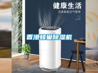 行業(yè)新聞香港蜂巢除濕機(jī)