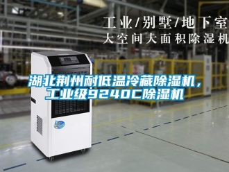 常見問題湖北荊州耐低溫冷藏除濕機，工業(yè)級9240C除濕機