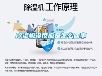 行業(yè)新聞除濕機(jī)沒(méi)反應(yīng)是怎么回事？
