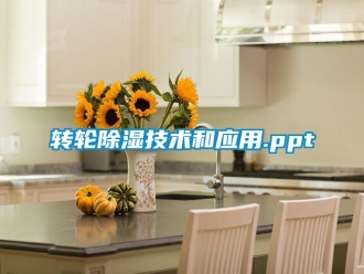 常見問題轉輪除濕技術和應用.ppt