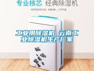 企業(yè)新聞工業(yè)用除濕機 云南工業(yè)除濕機生產廠家