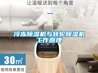 常見問題冷凍除濕機(jī)與轉(zhuǎn)輪除濕機(jī)工作原理