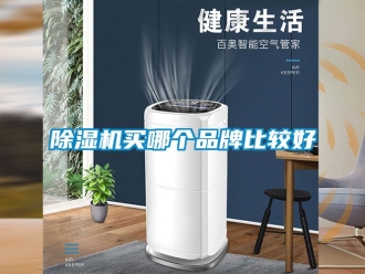 企業(yè)新聞除濕機買哪個品牌比較好