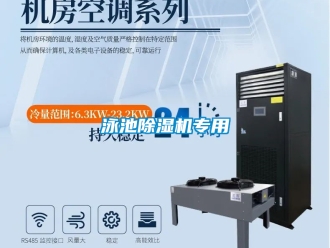 行業(yè)新聞泳池除濕機(jī)專用