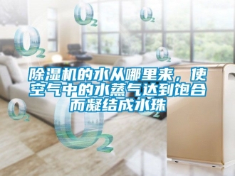 企業(yè)新聞除濕機(jī)的水從哪里來(lái)，使空氣中的水蒸氣達(dá)到飽合而凝結(jié)成水珠