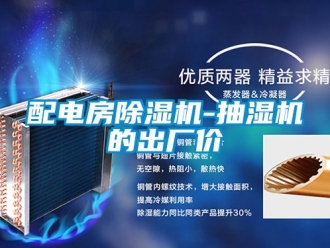 行業(yè)新聞配電房除濕機(jī)-抽濕機(jī)的出廠價(jià)