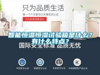 知識(shí)百科智能恒溫恒濕試驗(yàn)箱是什么？有什么特點(diǎn)？