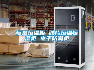 知識百科恒溫恒濕柜 膠片恒溫恒濕柜 電子防潮柜