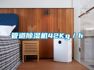 行業(yè)新聞管道除濕機42Kg／h