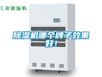常見問題除濕機哪個牌子效果好！