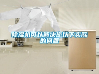 常見問題除濕機可以解決您以下實際的問題