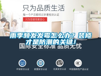 常見問題雨季頻發(fā)發(fā)霉怎么辦？裝修才是防潮的關(guān)鍵！