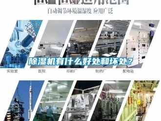 行業(yè)新聞除濕機(jī)有什么好處和壞處？