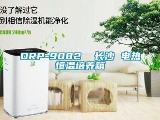 常見問題DRP-9082  長(zhǎng)沙 電熱恒溫培養(yǎng)箱