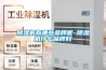 除濕機(jī)有哪些品牌呢 除濕機(jī)什么品牌好
