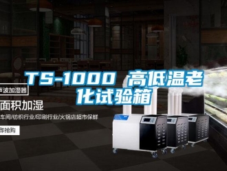 常見(jiàn)問(wèn)題TS-1000 高低溫老化試驗(yàn)箱