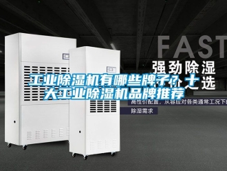 常見(jiàn)問(wèn)題工業(yè)除濕機(jī)有哪些牌子？十大工業(yè)除濕機(jī)品牌推薦