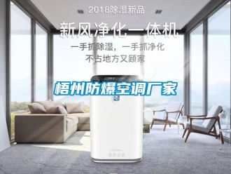 企業(yè)新聞梧州防爆空調(diào)廠家