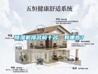 行業(yè)新聞除濕機排名前十名，有哪些？
