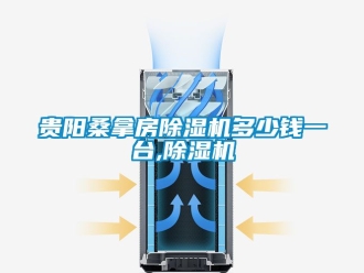 行業(yè)新聞貴陽桑拿房除濕機(jī)多少錢一臺,除濕機(jī)
