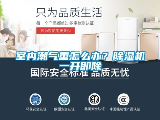 常見問題室內(nèi)潮氣重怎么辦？除濕機一開即除