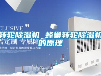 常見問題轉(zhuǎn)輪除濕機(jī) 蜂巢轉(zhuǎn)輪除濕機(jī)的原理