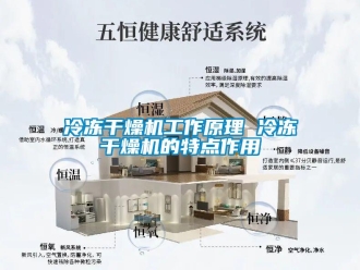 行業(yè)新聞冷凍干燥機(jī)工作原理 冷凍干燥機(jī)的特點(diǎn)作用
