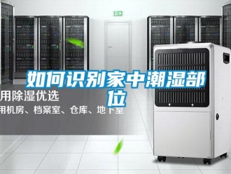 常見問題如何識別家中潮濕部位