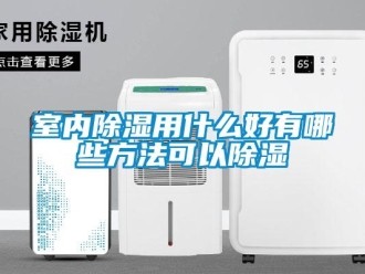 企業(yè)新聞室內(nèi)除濕用什么好有哪些方法可以除濕