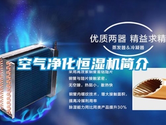 知識百科空氣凈化恒濕機(jī)簡介
