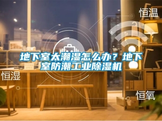 常見問題地下室太潮濕怎么辦？地下室防潮工業(yè)除濕機