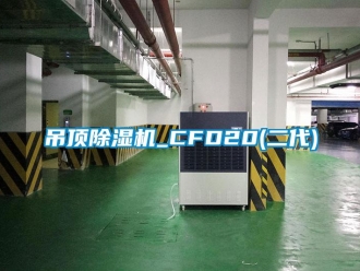 行業(yè)新聞吊頂除濕機_CFD20(二代)