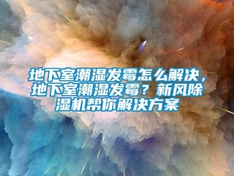 常見問題地下室潮濕發(fā)霉怎么解決，地下室潮濕發(fā)霉？新風(fēng)除濕機幫你解決方案
