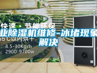 企業(yè)新聞工業(yè)除濕機(jī)維修-冰堵現(xiàn)象的解決