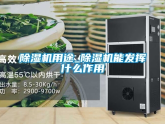 行業(yè)新聞除濕機用途_除濕機能發(fā)揮什么作用