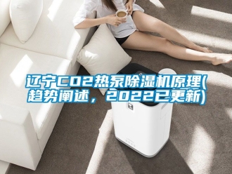 行業(yè)新聞遼寧CO2熱泵除濕機(jī)原理(趨勢(shì)闡述，2022已更新)