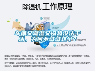 企業(yè)新聞車間又潮濕又悶熱沒法干活，為何不試試這個(gè)？