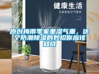 常見(jiàn)問(wèn)題原創(chuàng)梅雨季家里濕氣重，這個(gè)防潮除濕的妙招你應(yīng)該知曉