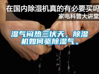 常見問題濕氣悶熱三伏天，除濕機(jī)如何驅(qū)除濕氣。