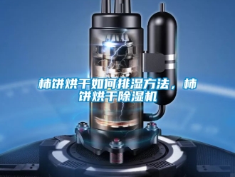 行業(yè)新聞柿餅烘干如何排濕方法，柿餅烘干除濕機(jī)