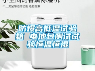 知識(shí)百科防爆高低溫試驗(yàn)箱 電池包測(cè)試試驗(yàn)恒溫恒濕