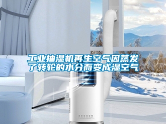 企業(yè)新聞工業(yè)抽濕機再生空氣因蒸發(fā)了轉(zhuǎn)輪的水分而變成濕空氣