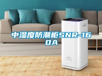 常見(jiàn)問(wèn)題中濕度防潮柜SNR-160A