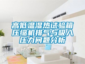 常見問題高低溫濕熱試驗(yàn)箱壓縮機(jī)排氣與吸入壓力問題分析