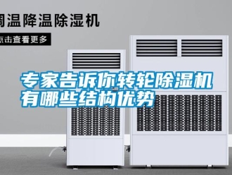 知識(shí)百科專家告訴你轉(zhuǎn)輪除濕機(jī)有哪些結(jié)構(gòu)優(yōu)勢(shì)