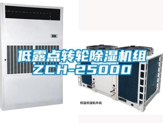常見問題低露點轉(zhuǎn)輪除濕機組ZCH-25000
