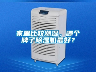 行業(yè)新聞家里比較潮濕，哪個牌子除濕機最好？